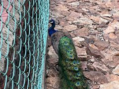 -南京金牛湖风景区