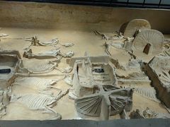 -洛阳周王城天子驾六博物馆