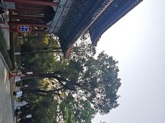 -珠海圆明新园