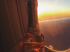 -维也纳国际机场