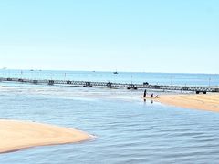 -日照海滨国家森林公园