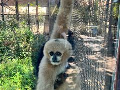 -石家庄市动物园