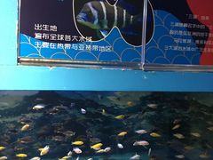 -沙沙哗啦海洋馆(华宇百花谷店)