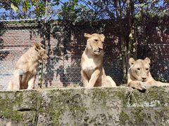 -乐和乐都主题乐园