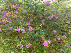 -韶关经律论国际酒店温泉