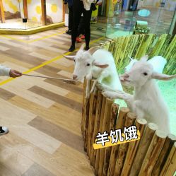 -七巧国萌宠乐园(龙湖天街店)