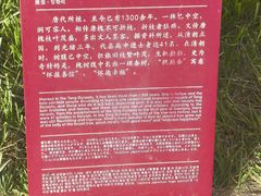 -代州文庙