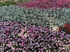 -宣武艺园