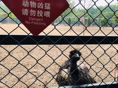 -北京麋鹿生态实验中心
