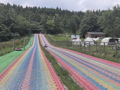 -武陵山森林公园