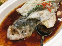 -满园春酒楼(庐江路店)