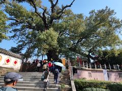 -新安江山水画廊风景区
