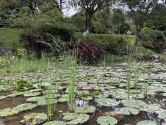 -东莞植物园