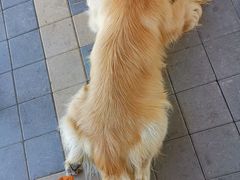 -长春农博园