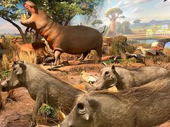 -陕西自然博物馆