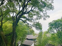 -岳麓山风景名胜区