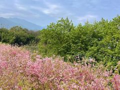 -福建鲤鱼洲酒店
