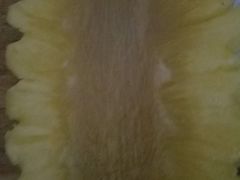 -全而廉(靖宇中路店)