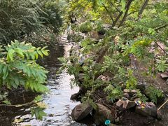 -重庆彩云湖湿地公园