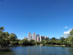 -青城公园
