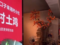 -湘村小灶·地道长沙菜·本地人优选(万家丽路店)