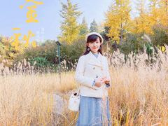 -玲珑塔公园