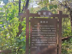 -阳台山自然风景区