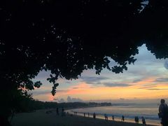 -库塔海滩