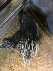 -酷嗒动物文化乐园(cutezoo西溪乐天城店)