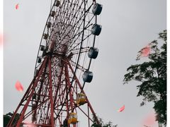 -南湖梦幻岛