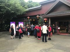 -满天星花园