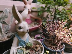 -后海16号·北京私房菜