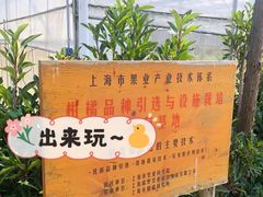 -前小桔亲子创意农场·草莓采摘·露营烧烤