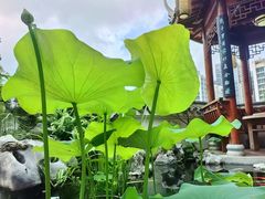 -道南書院·私房菜·早午茶·茶馆