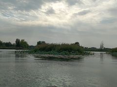 -白洋淀景区