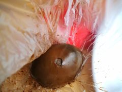 五香鸡蛋-阿婆五香蛋(水游城店)
