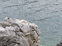-千岛湖东南湖区
