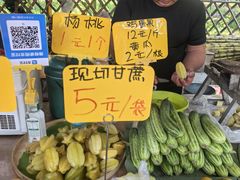-西双版纳傣族园