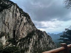 -豫丰汇河南名菜楼(武记餐饮)