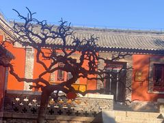 -泰山风景名胜区-普照寺