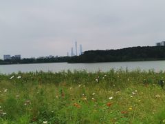 -海珠湖公园