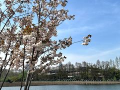 -东湖听涛景区