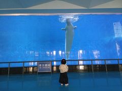 -泉城欧乐堡海洋极地世界