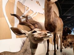 -陕西自然博物馆