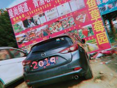-小鱼草莓采摘园农家乐·小鱼餐厅