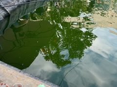 -DGE季风钓虾营地·团建·聚会