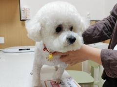 -瑞派康怡24h宠物医院·犬猫医疗中心·微创绝育(瑞景分院)