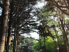 -信号山公园
