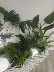 -HEYAN荷妍专业脱毛连锁机构