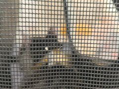 -艾贝尔宠物医院 ·中兽医·宠保定点(北门桥店)